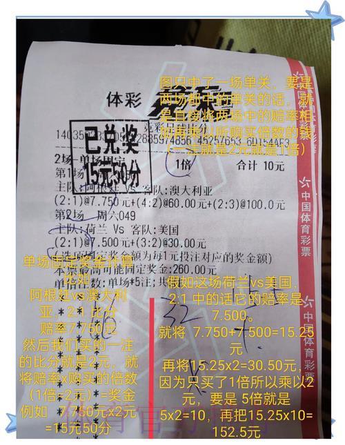 世界杯竞猜投注技巧分享，掌握这些要点轻松减少损失